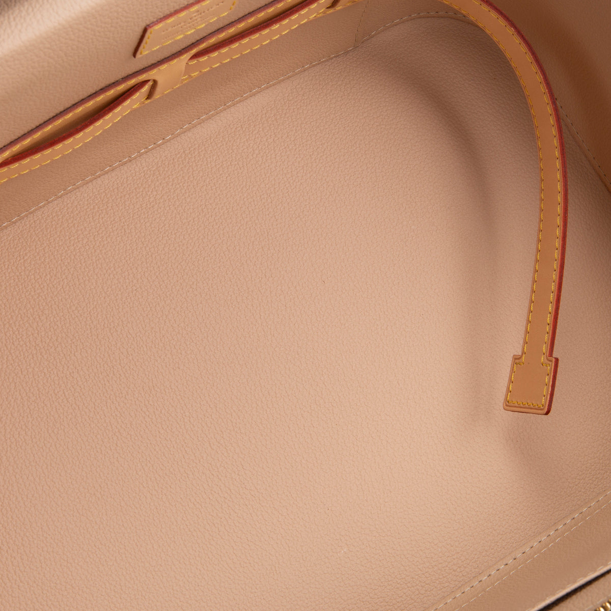 LOUIS VUITTON Nice Vanity Case