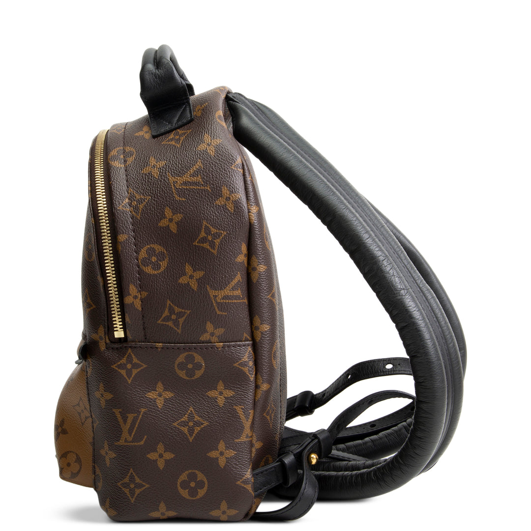 LOUIS VUITTON Monogram Reverse Palm Springs Backpack