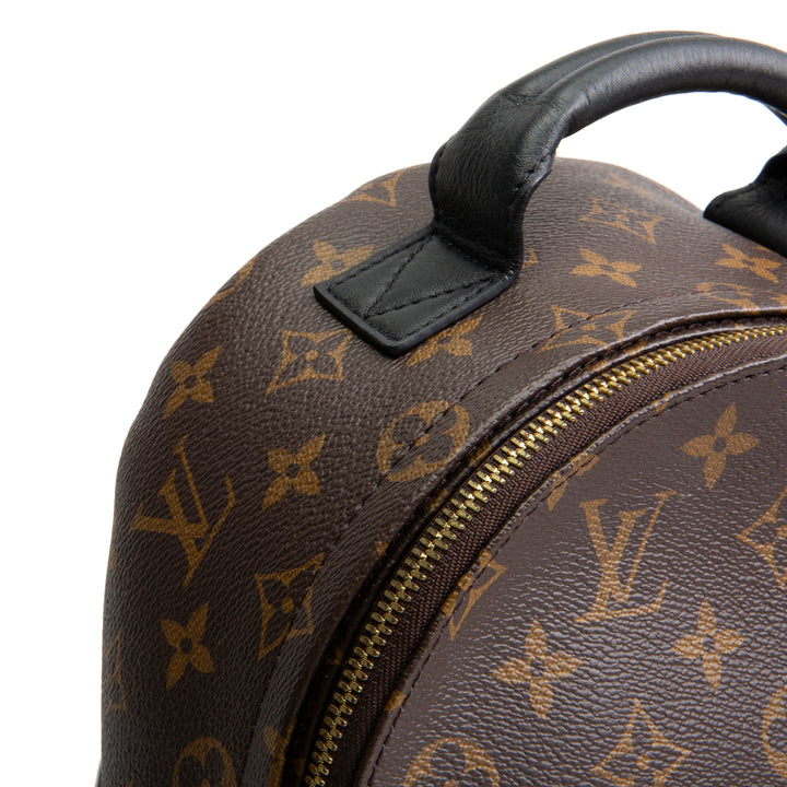 LOUIS VUITTON Monogram Reverse Palm Springs Backpack