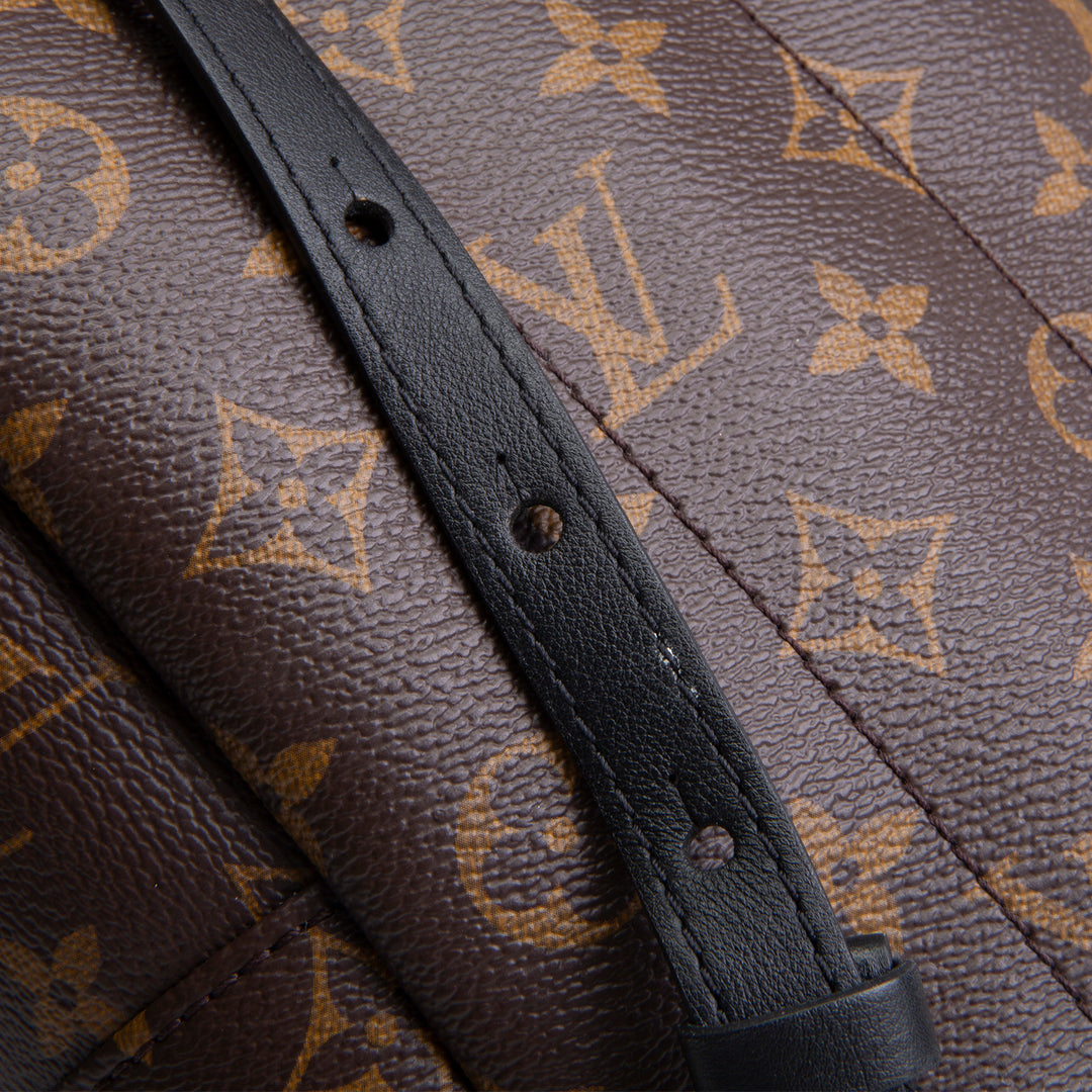 LOUIS VUITTON Monogram Reverse Palm Springs Backpack