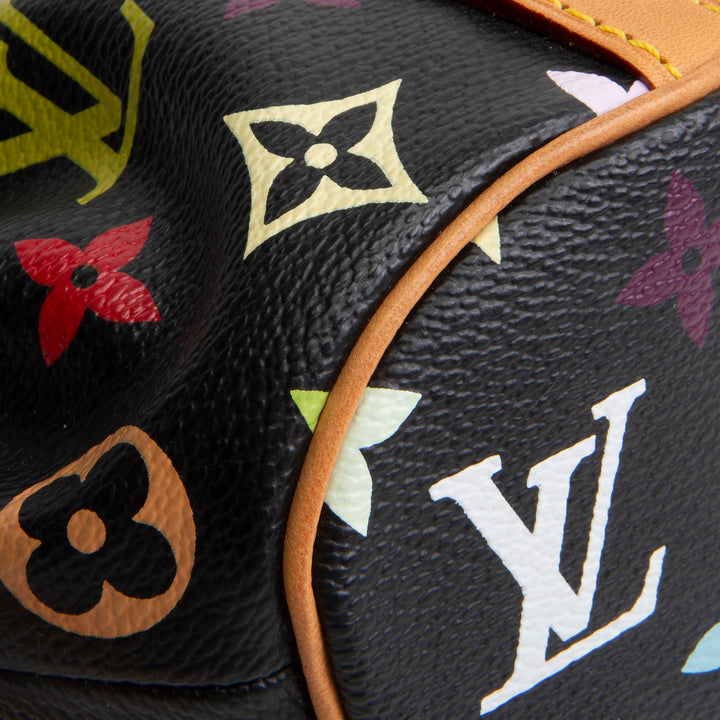 LOUIS VUITTON Multicolore Monogram Theda PM