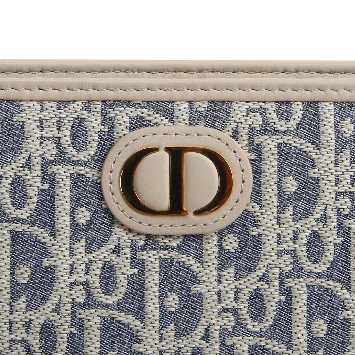 DIOR Oblique Montaigne 30 Pouch
