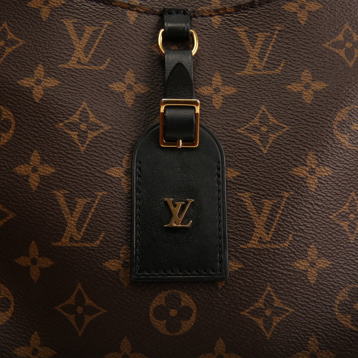 LOUIS VUITTON Monogram Macassar Odeon MM OUTLET FINAL SALE
