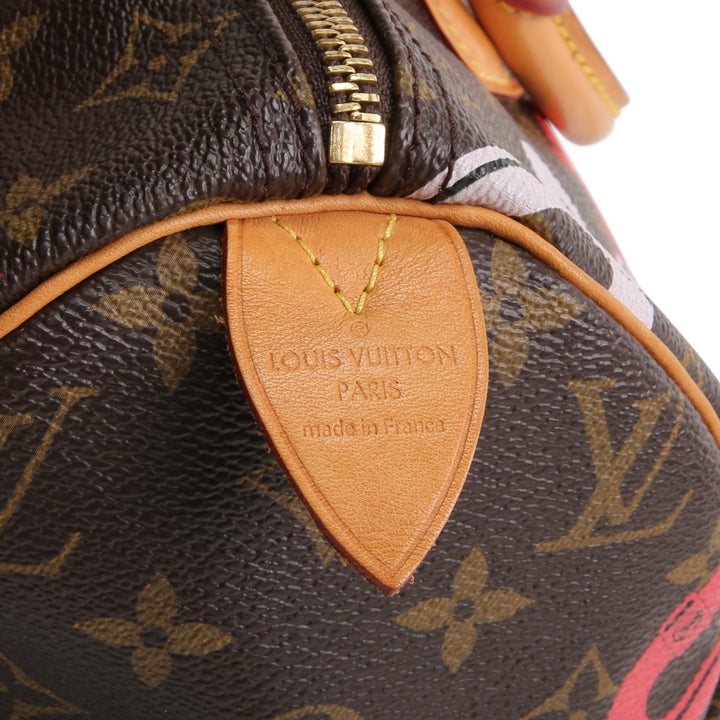 LOUIS VUITTON Limited Edition Speedy 30 Chain Flower (Bay Speedy)
