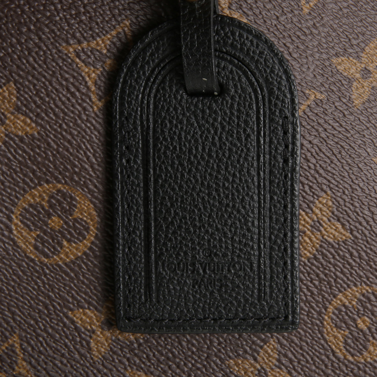 LOUIS VUITTON Monogram Surene MM