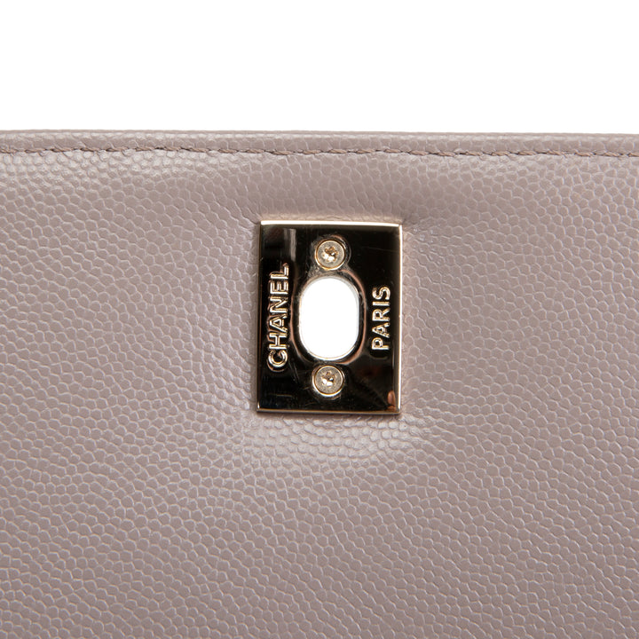 CHANEL Small Lizard Trimmed Coco Handle Shoulder Bag - Light Purple