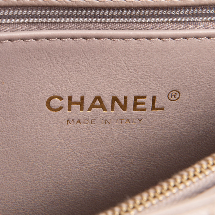 CHANEL Small Lizard Trimmed Coco Handle Shoulder Bag - Light Purple