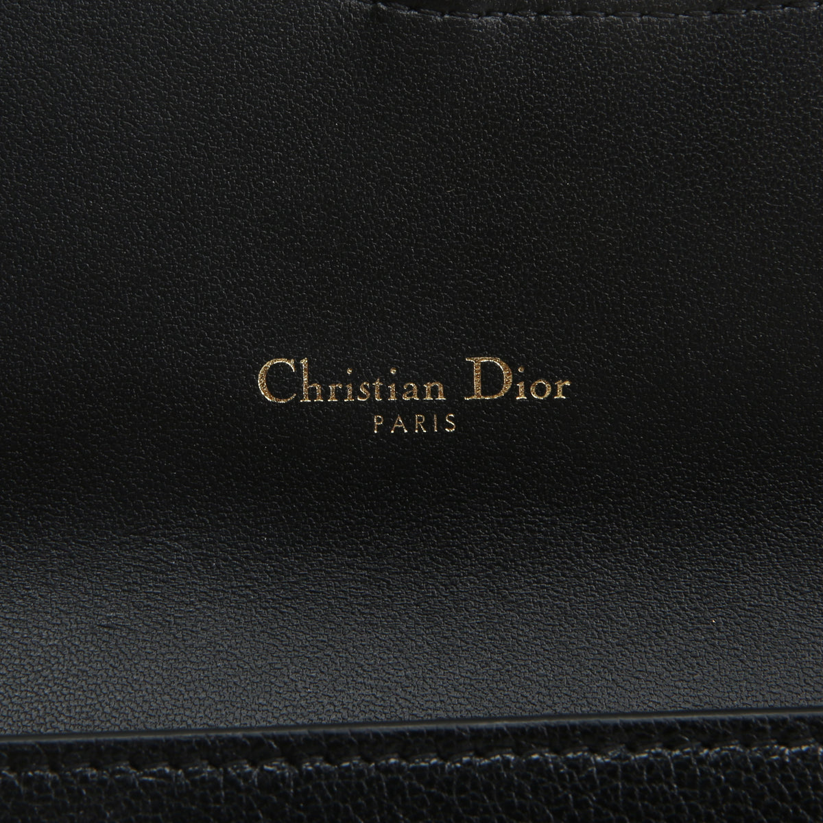 DIOR Goatskin Saddle Long Wallet with Chain - Black