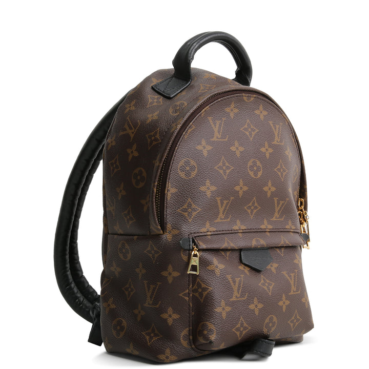 LOUIS VUITTON Monogram Mini Palm Springs Backpack
