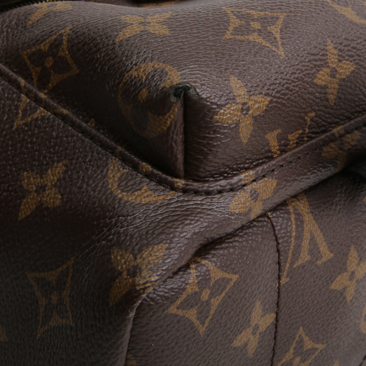 LOUIS VUITTON Monogram Mini Palm Springs Backpack
