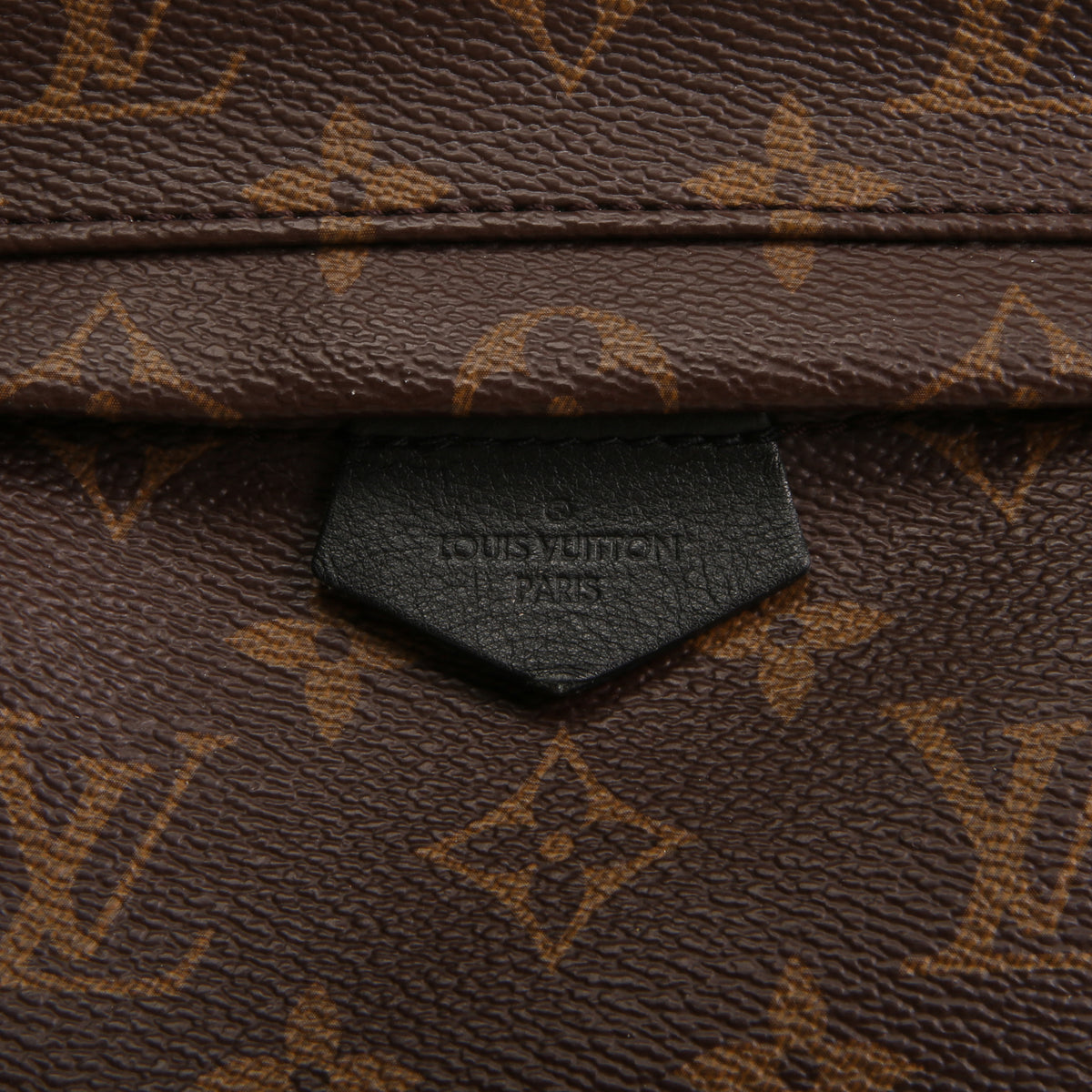 LOUIS VUITTON Monogram Mini Palm Springs Backpack