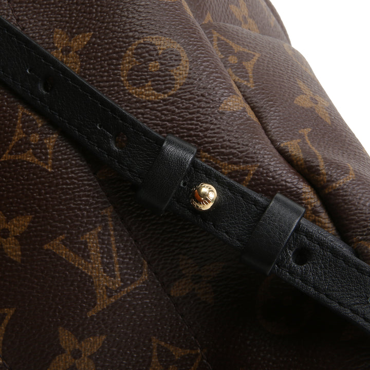 LOUIS VUITTON Monogram Mini Palm Springs Backpack