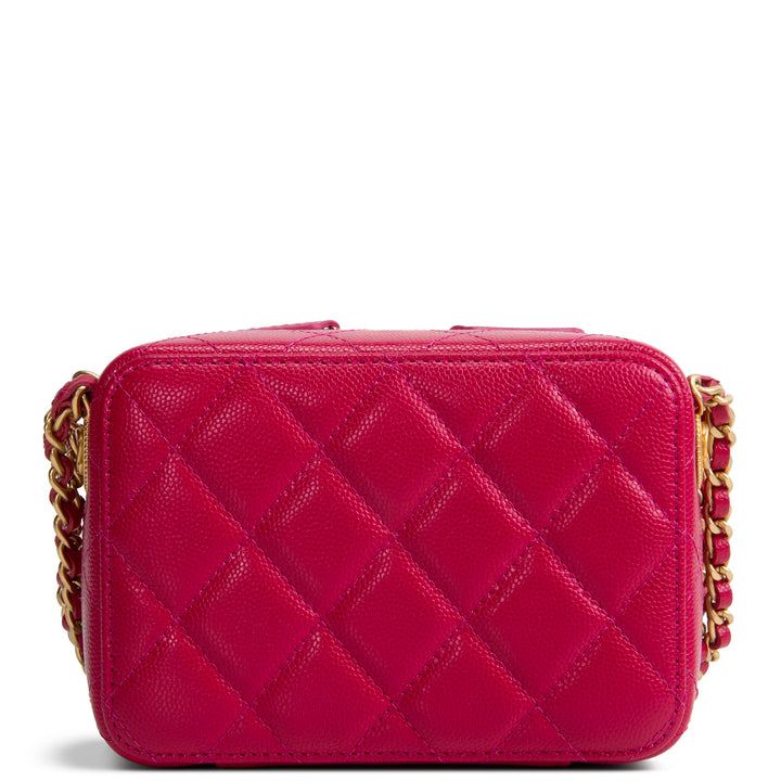 CHANEL Pink Medallion Vanity Case