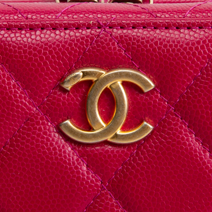 CHANEL Pink Medallion Vanity Case