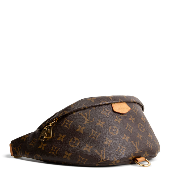 LOUIS VUITTON My LV World Tour Bumbag - Brown