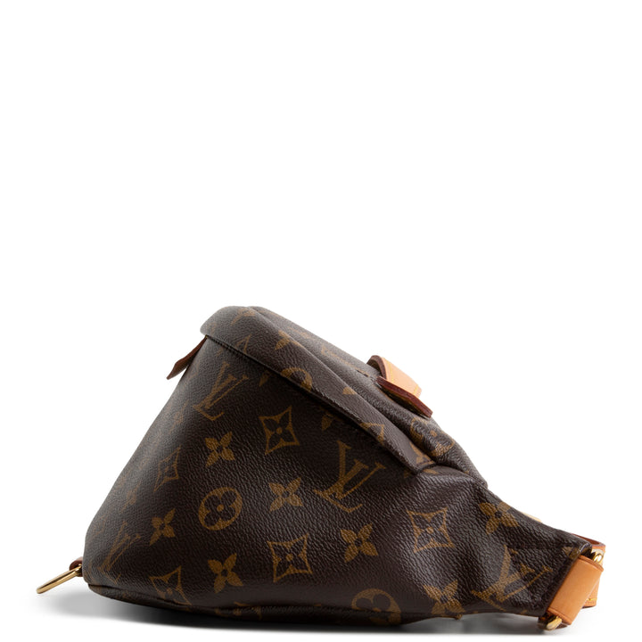 LOUIS VUITTON My LV World Tour Bumbag - Brown