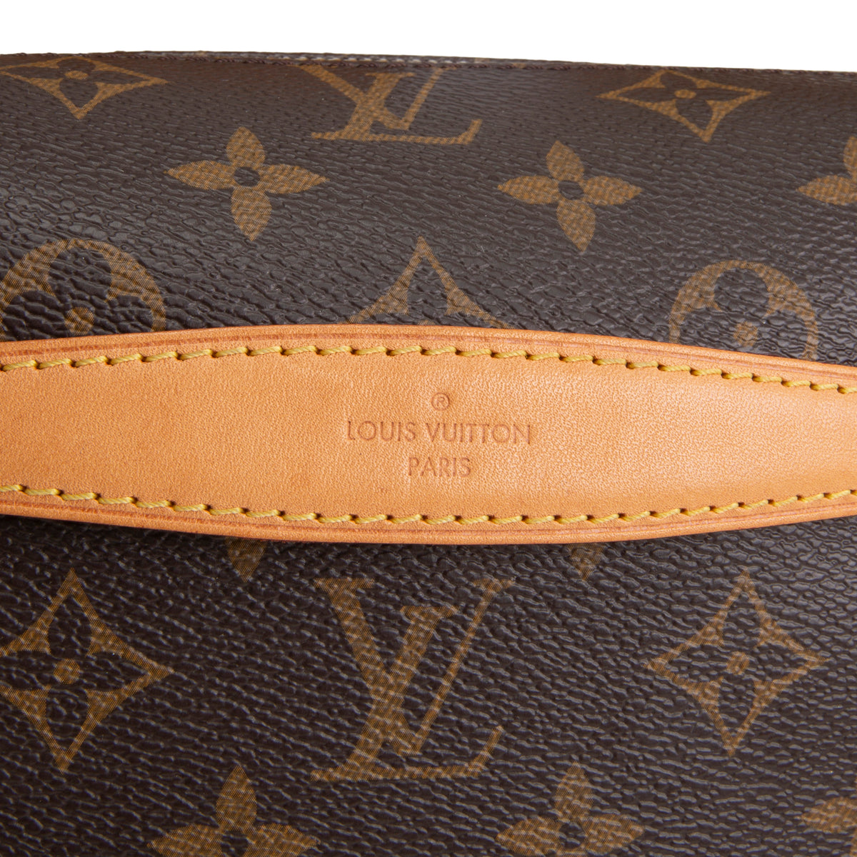 LOUIS VUITTON My LV World Tour Bumbag - Brown