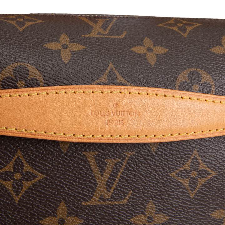 LOUIS VUITTON My LV World Tour Bumbag - Brown