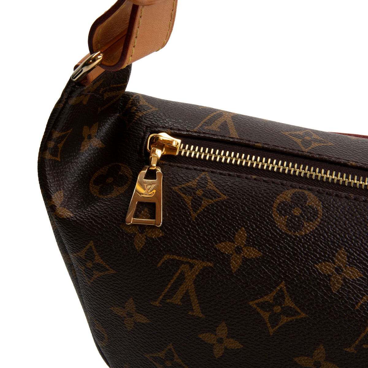 LOUIS VUITTON My LV World Tour Bumbag - Brown