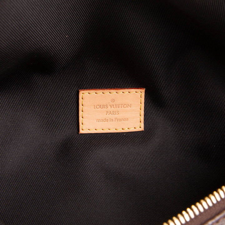 LOUIS VUITTON My LV World Tour Bumbag - Brown