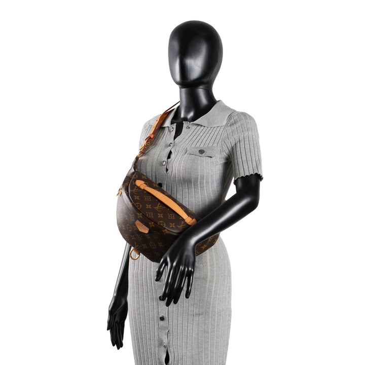 LOUIS VUITTON My LV World Tour Bumbag - Brown