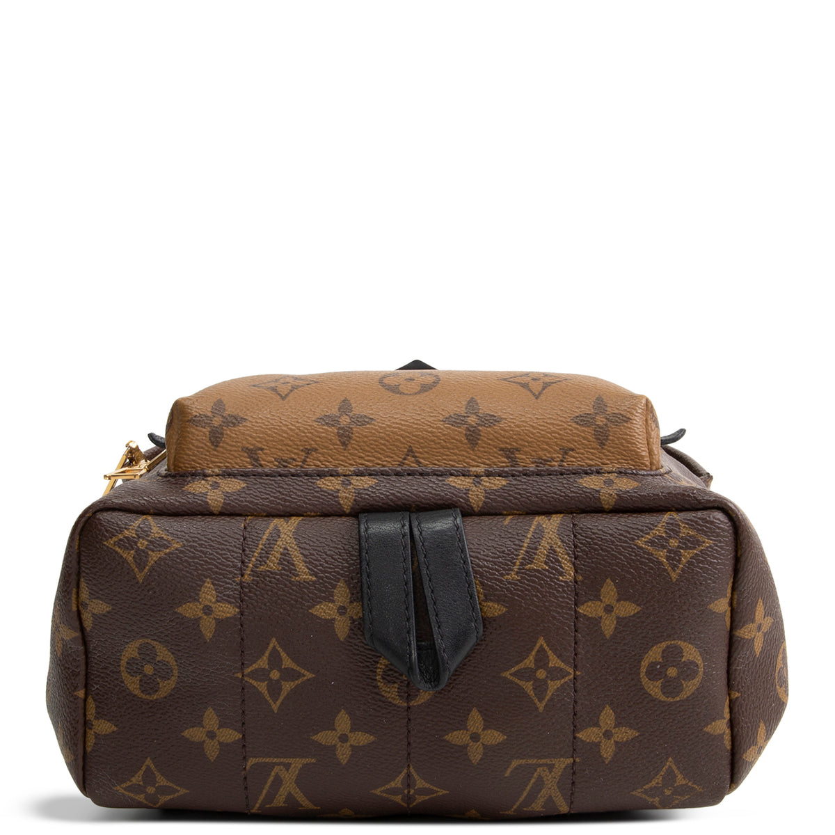 LOUIS VUITTON Monogram Reverse Palm Springs Backpack