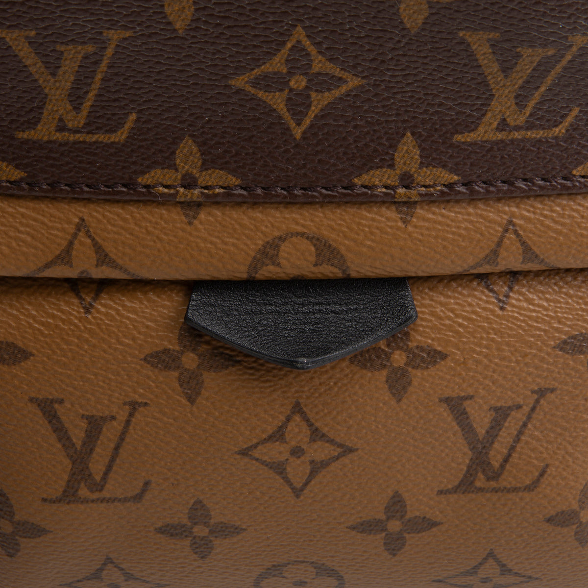 LOUIS VUITTON Monogram Reverse Palm Springs Backpack