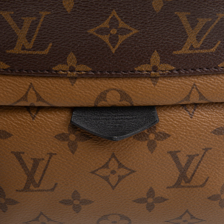 LOUIS VUITTON Monogram Reverse Palm Springs Backpack