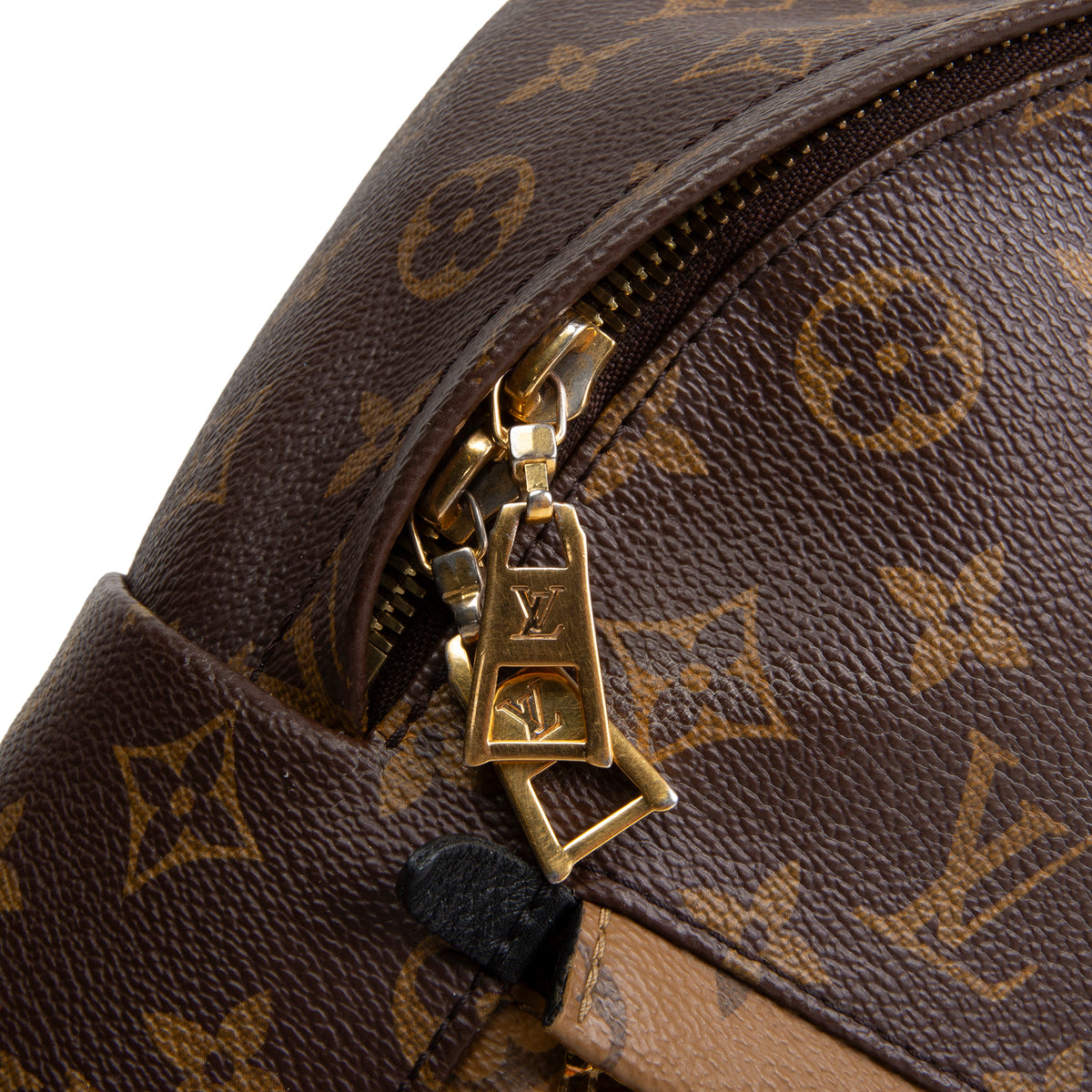 LOUIS VUITTON Monogram Reverse Palm Springs Backpack
