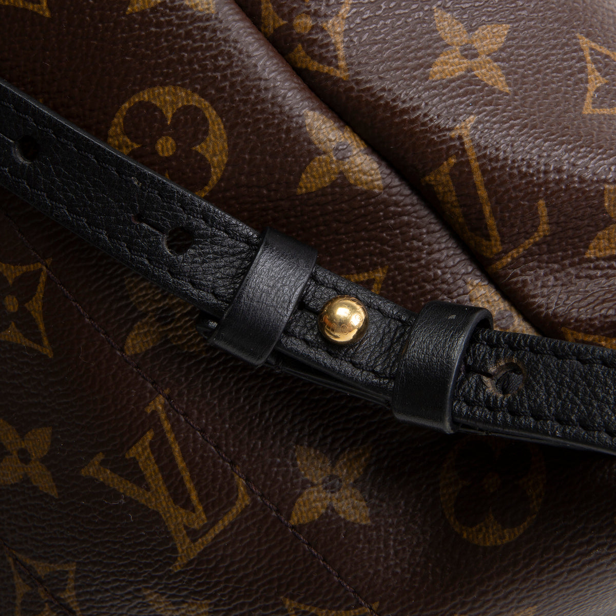 LOUIS VUITTON Monogram Reverse Palm Springs Backpack