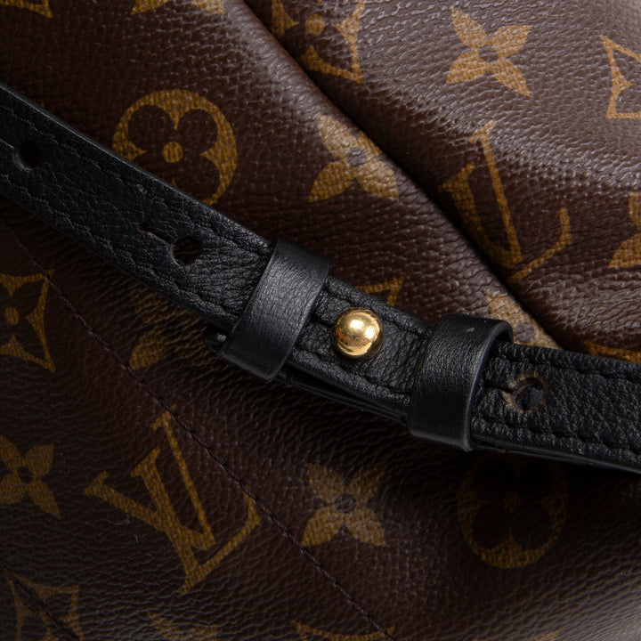 LOUIS VUITTON Monogram Reverse Palm Springs Backpack