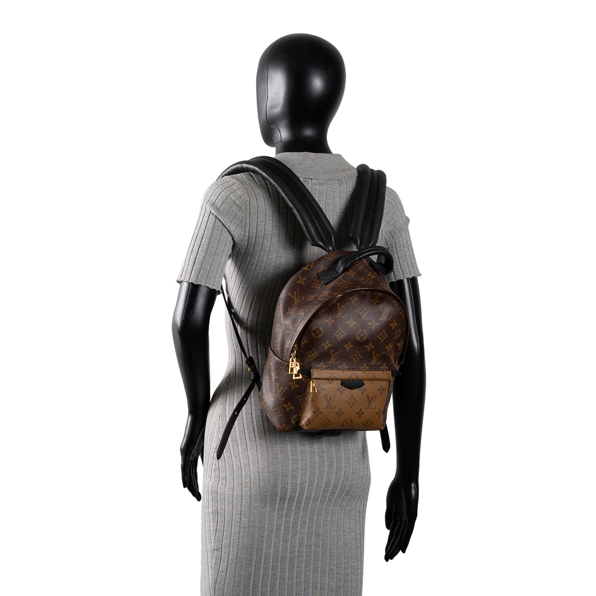 LOUIS VUITTON Monogram Reverse Palm Springs Backpack