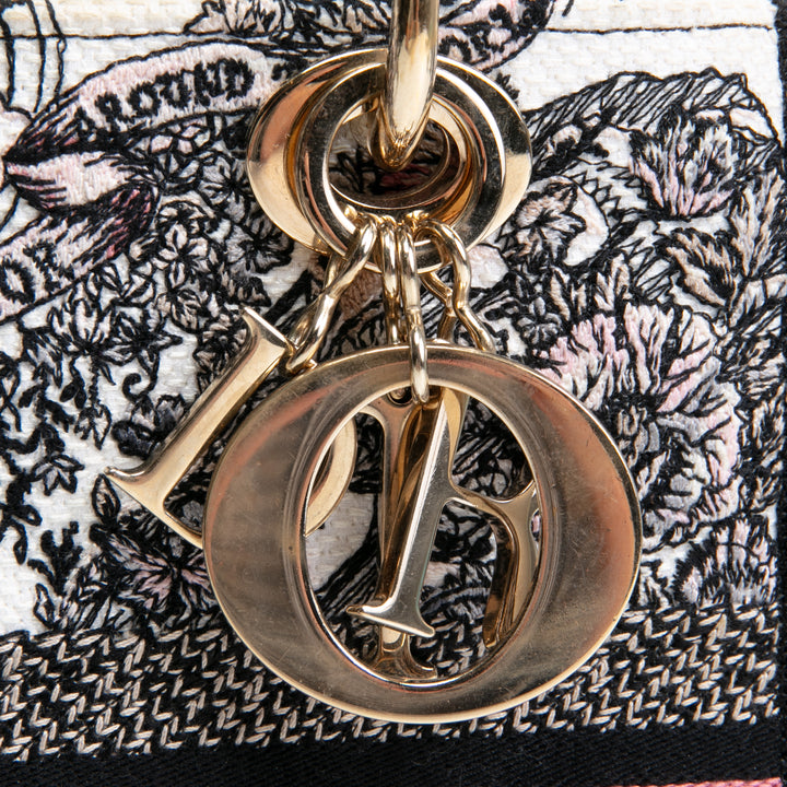 DIOR Lady D-Lite Medium Multicolor Cabinet De La Mer Motif