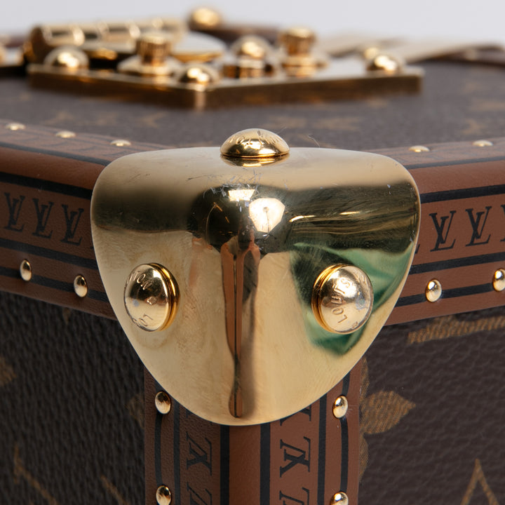 LOUIS VUITTON Camera Box Monogram