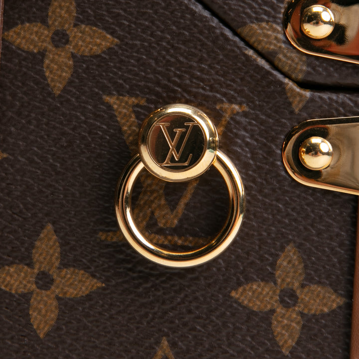 LOUIS VUITTON Camera Box Monogram