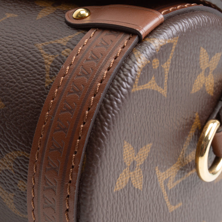 LOUIS VUITTON Monogram Papillion Trunk