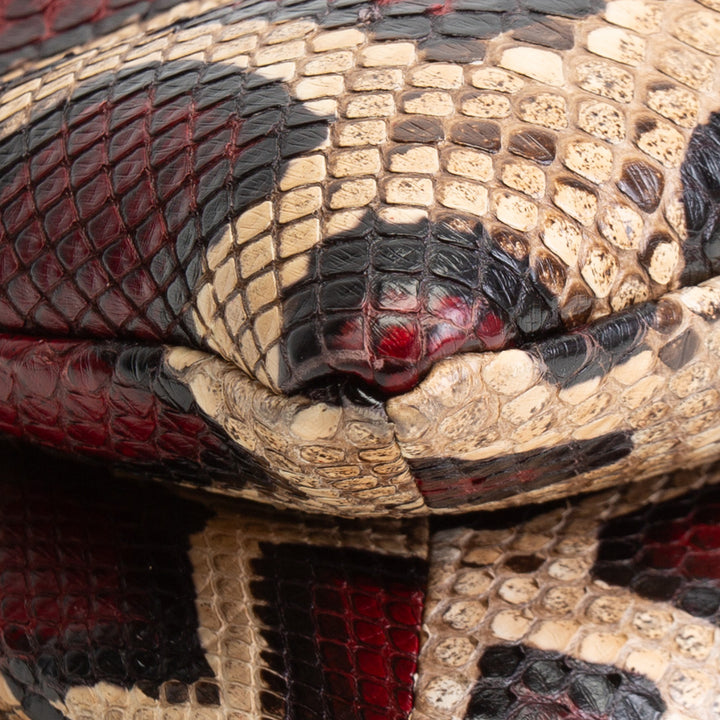 BOTTEGA Veneta Python Liberta