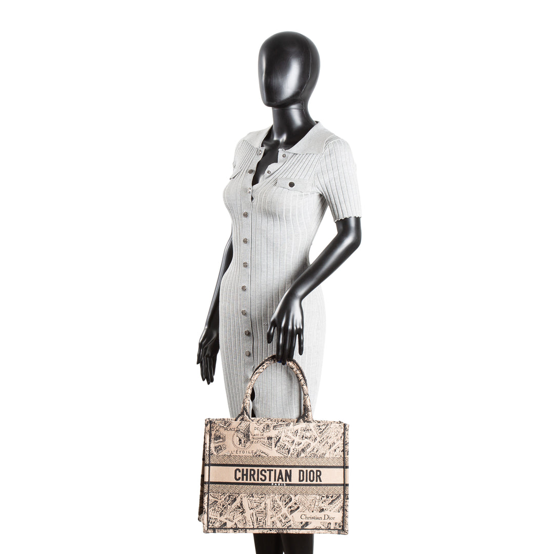 CHRISTIAN DIOR Plan de Paris Medium Book Tote - Taupe