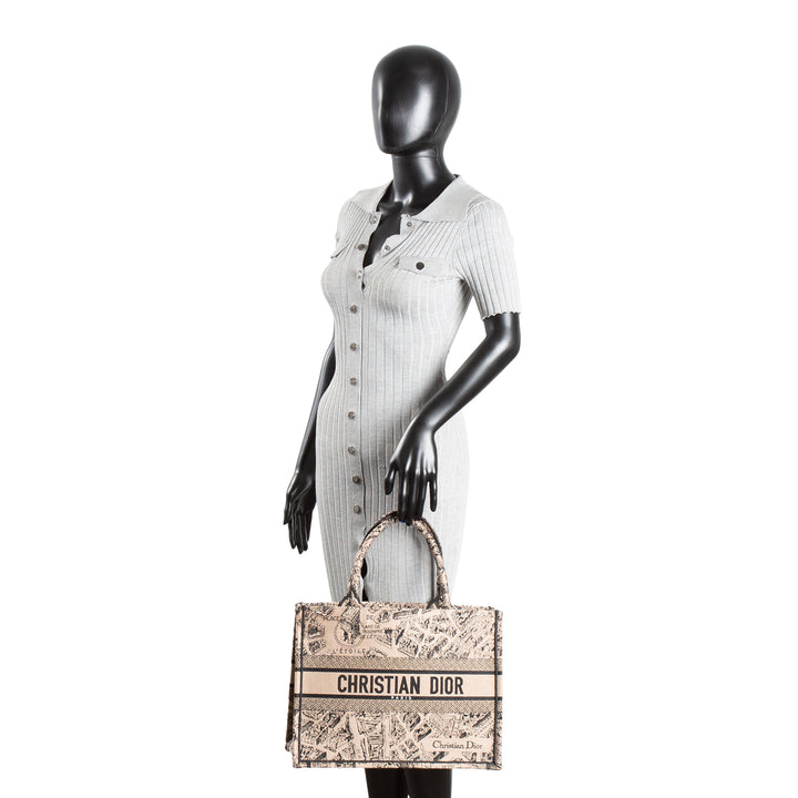 CHRISTIAN DIOR Plan de Paris Medium Book Tote - Taupe