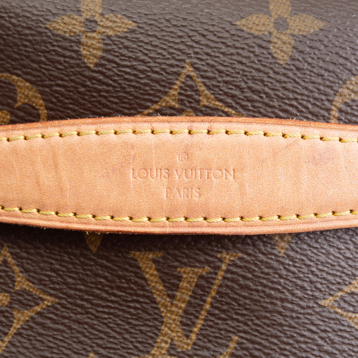 LOUIS VUITTON Bumbag Monogram
