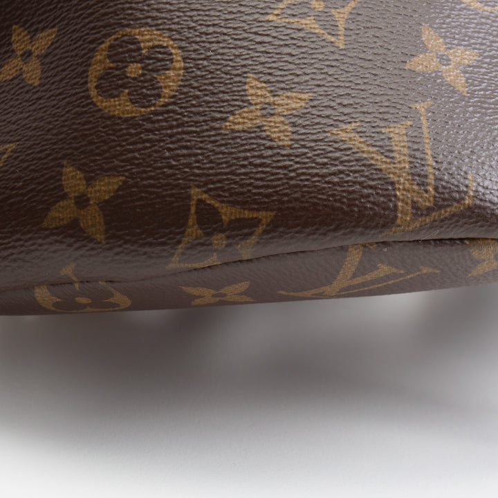 LOUIS VUITTON Bumbag Monogram