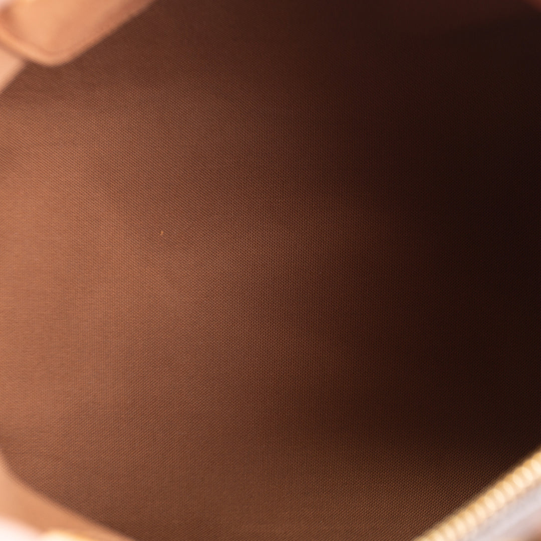 LOUIS VUITTON Monogram Speedy 30