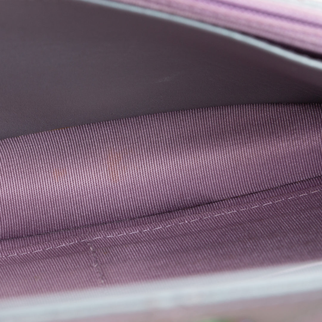 CHANEL 255 Reissue Iridescent Quilted Wallet on Chain