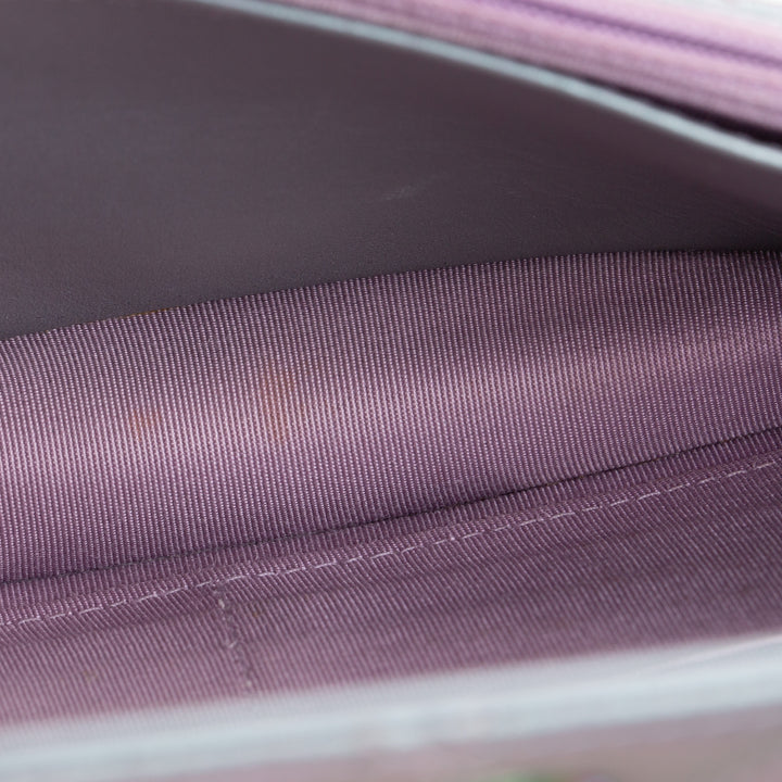 CHANEL 255 Reissue Iridescent Quilted Wallet on Chain