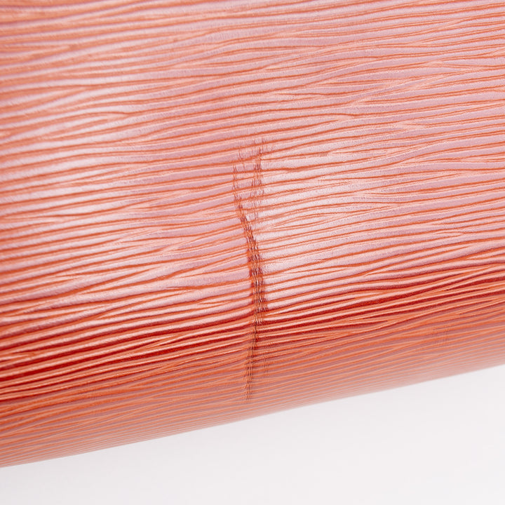 LOUIS VUITTON Vintage Speedy 25 - Epi