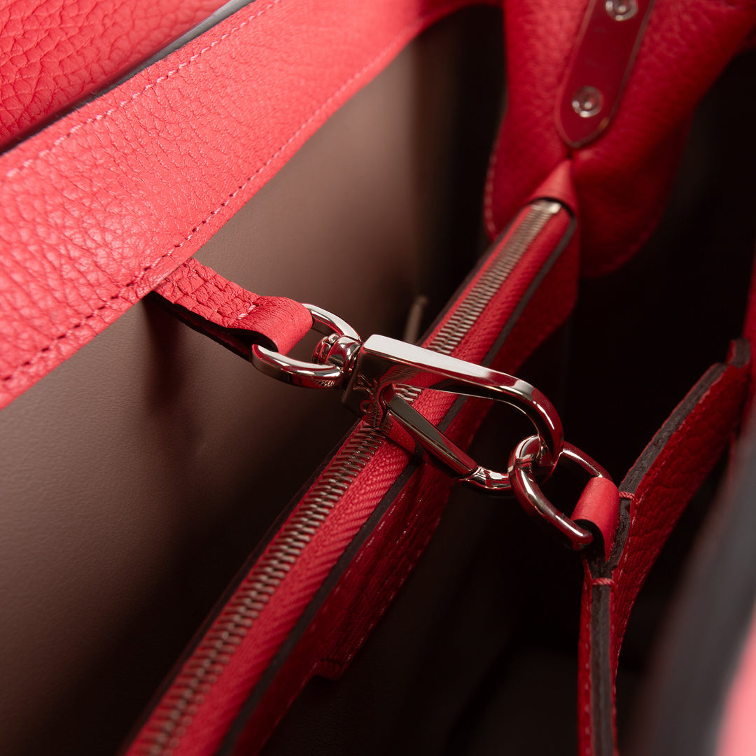 LOUIS VUITTON Capuccine GM