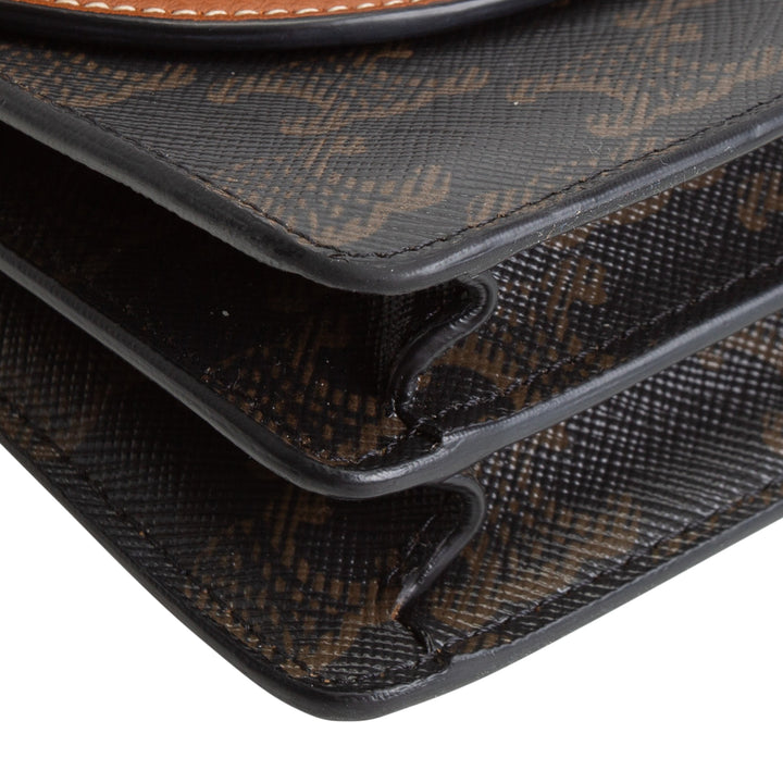 CELINE Triomphe Wallet on Strap - Brown