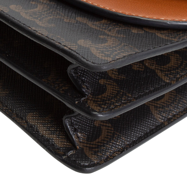 CELINE Triomphe Wallet on Strap - Brown