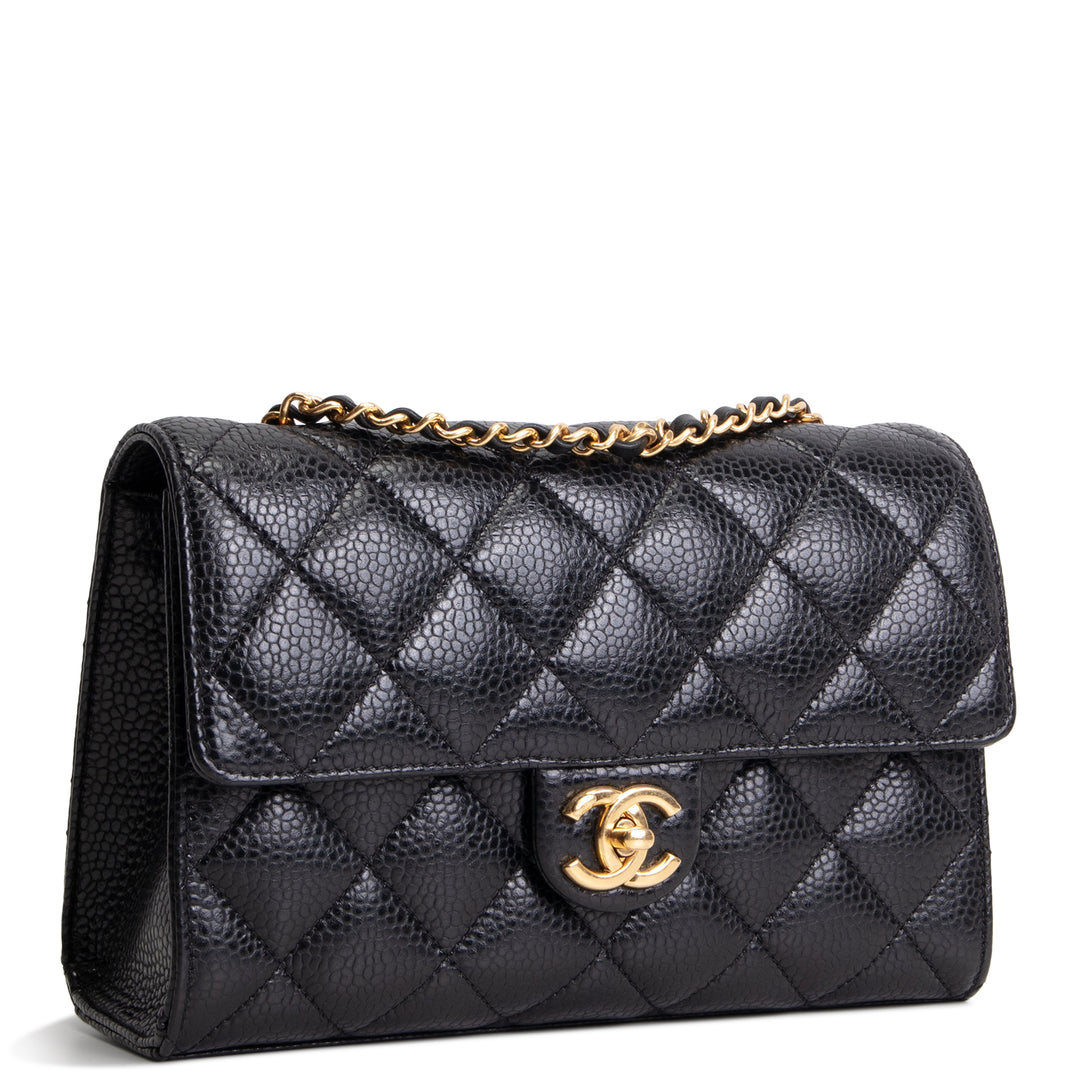 CHANEL Grained Calfskin Cruise Flap Bag