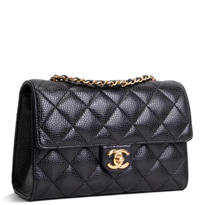 CHANEL Grained Calfskin Cruise Flap Bag